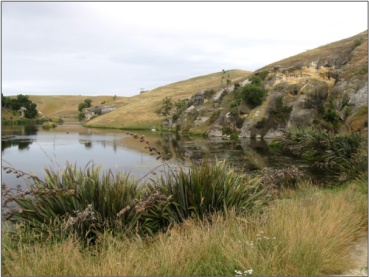 Devils Bridge Wetland (January 2010)