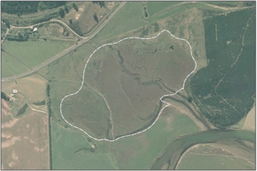 Aerial View of Shag River Estuary Swamp (March 2005)