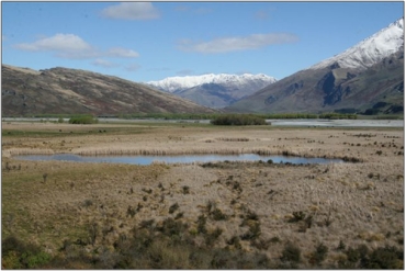 Matukituki Valley Wetland Management Area (October 2007)