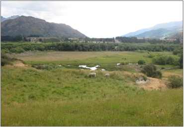 Shotover River Confluence Swamp (December 2010)