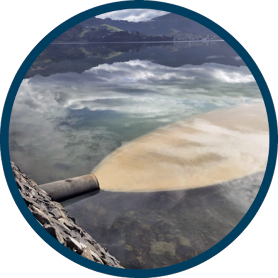 a blue circle with a photo of a pipe with brownish Sediment water running out of it into Otago harbour