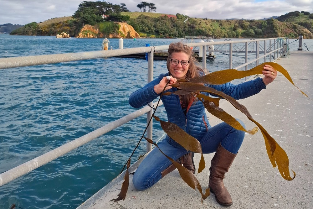 a person sitting on a pier holding a large piece of seaweed next to the water