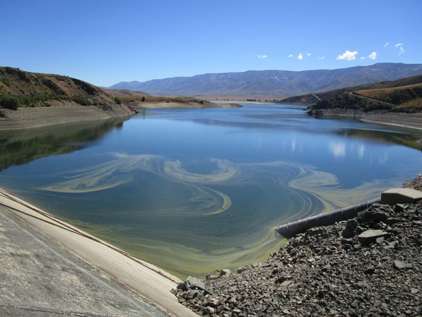 a flat body of water next to a road and mountains. The water has a yellowish green substance floating on top