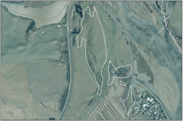 Aerial View of Ellison Saltmarsh (March 2006)