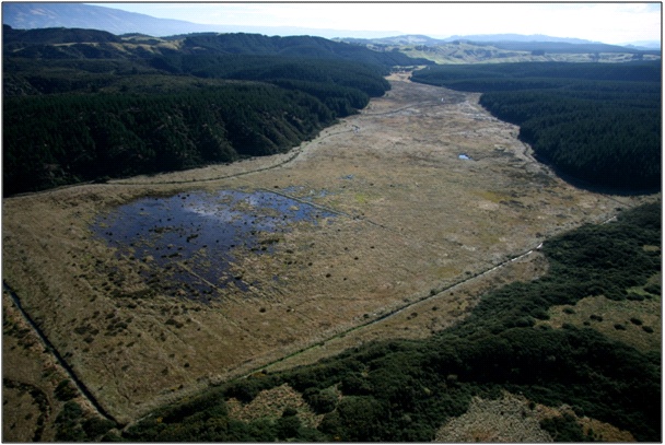 Takitoa Swamp (2008)