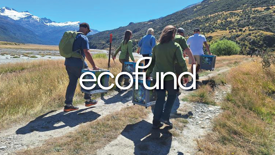 Ecofund 1920X1080 Web Tile Southern Lakes Sanctuary Takahe Release