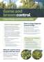 Cover Gorse And Broom Crown Range Cardrona Plant And Pest Fact Sheet A4 Page 1