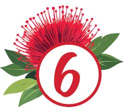 6