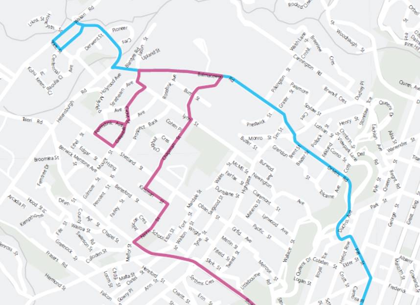 The map shows the Wakari and Helensburgh portion of routes 33 and 50 as they will be from 2 July 2018. The City – Corstorphine (33) and City – St Clair Park (50) portions of the routes will not change.