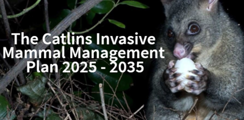 Invasive Mammal Management Plan 2025 2035
