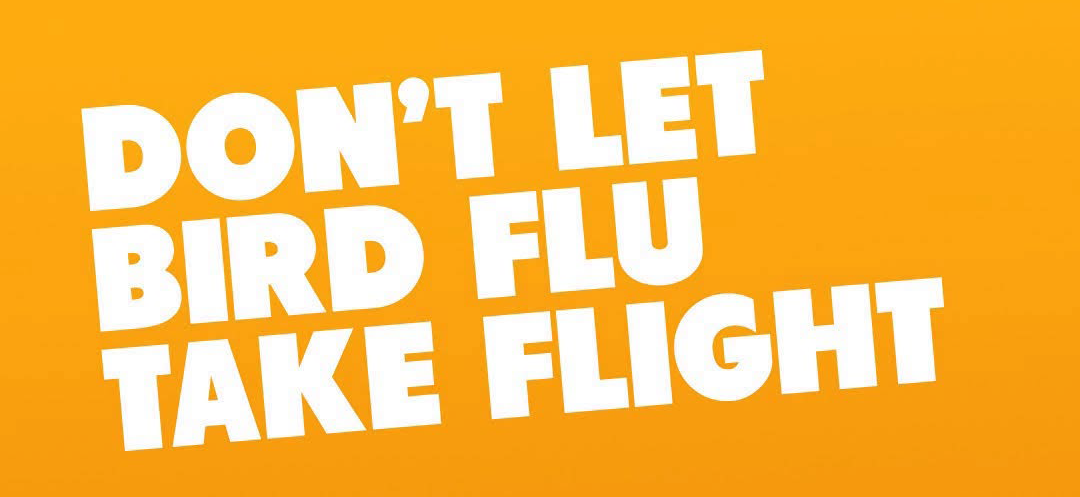 the words 'don't let bird flu take flight' on a bright orange background
