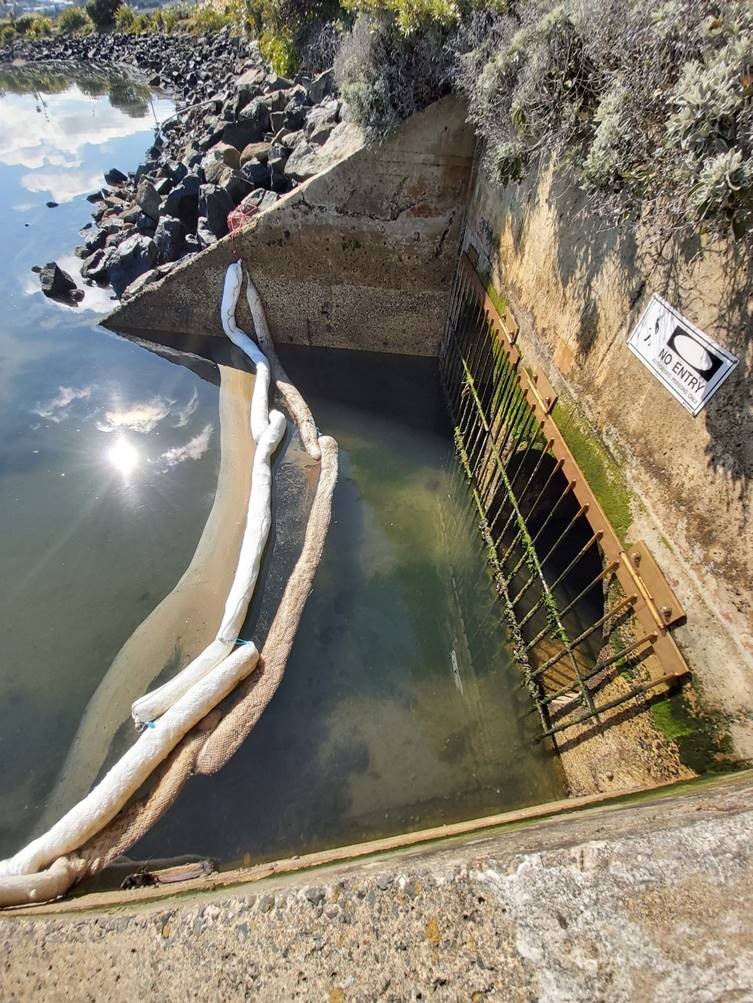 Booms in place at Andersons Bay outlet to stop the spread of diesel into the harbour.