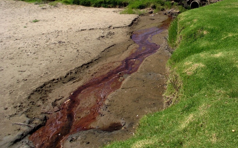 Example of iron-oxide bacteria. Source: Northland Regional Council