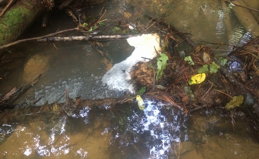 Example of natural foam on stream.  Source: Northland Regional Council