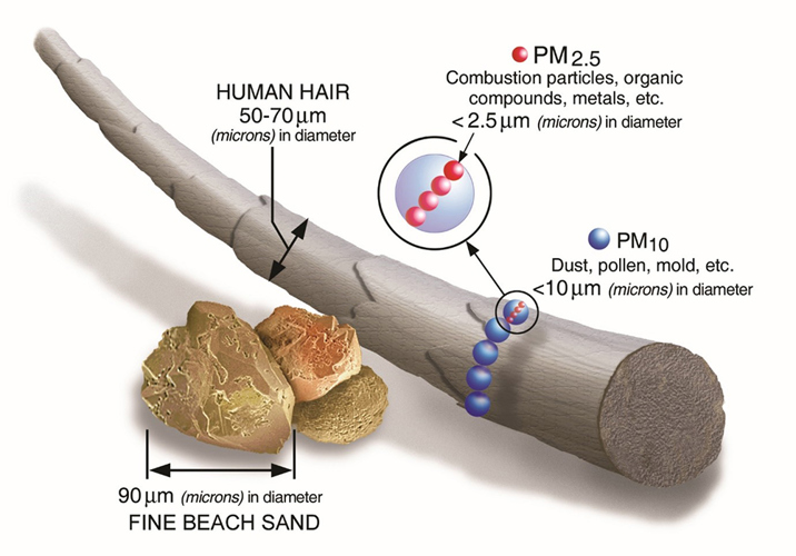 Particulate matter (pm) showing human hair 50-70um larger than pm2.5 or pm10