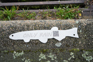 A closer view of the only drain rain fish - A metal cut out of a fish, with a QR code and the words Only Rain, attached to a curb near a stormwater drain.