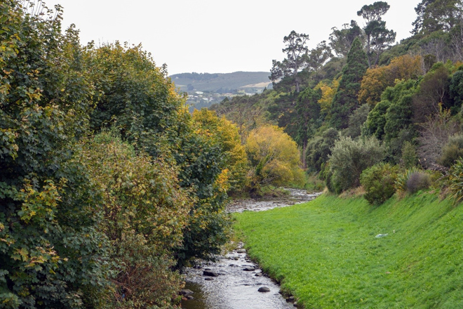 a stream running through a lush green field