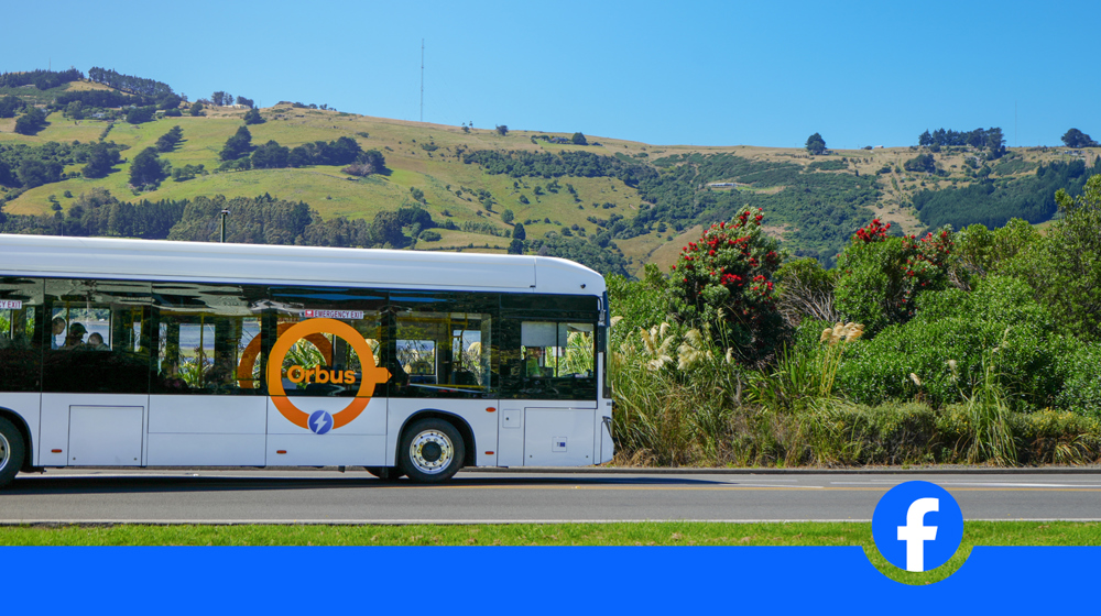PT Web Tiles Orbus Dunedin Bus In Maia Facebook July 2026