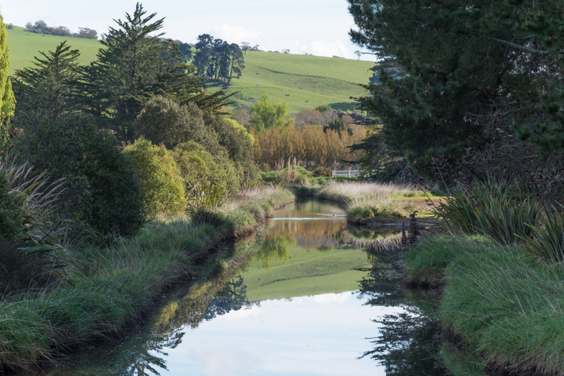 Hawksbury Lagoon Wildlife Refuge, Waikouaiti, Otago Adobestock 321593973