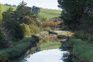 Hawksbury Lagoon Wildlife Refuge, Waikouaiti, Otago Adobestock 321593973