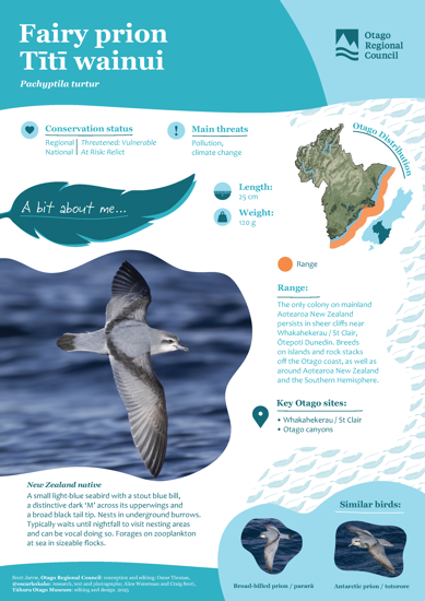 Fairy Prion Tītī Wainui Thumbnail