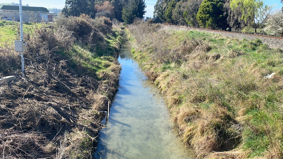 IS4 Upstream - Post Spray 2025