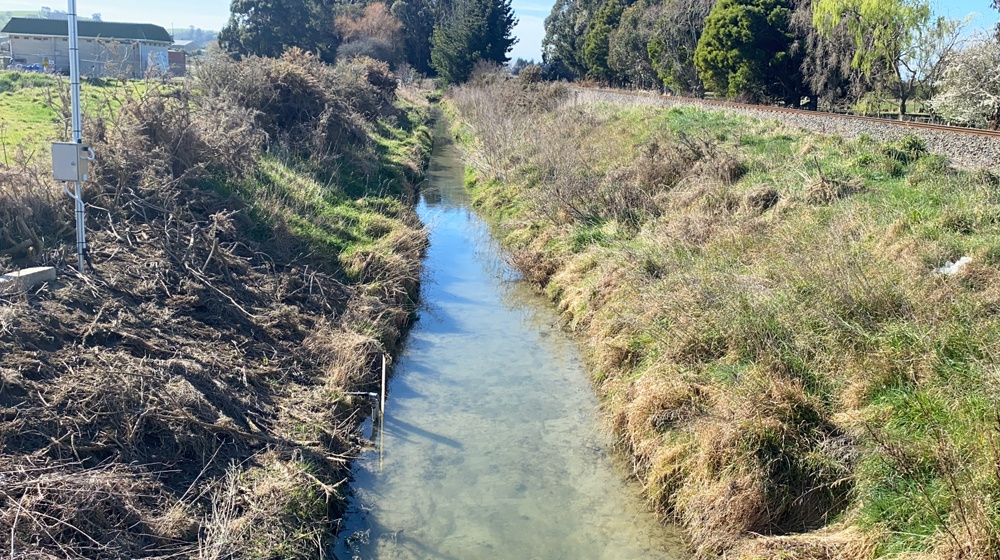 IS4 Upstream - Post Spray 2025