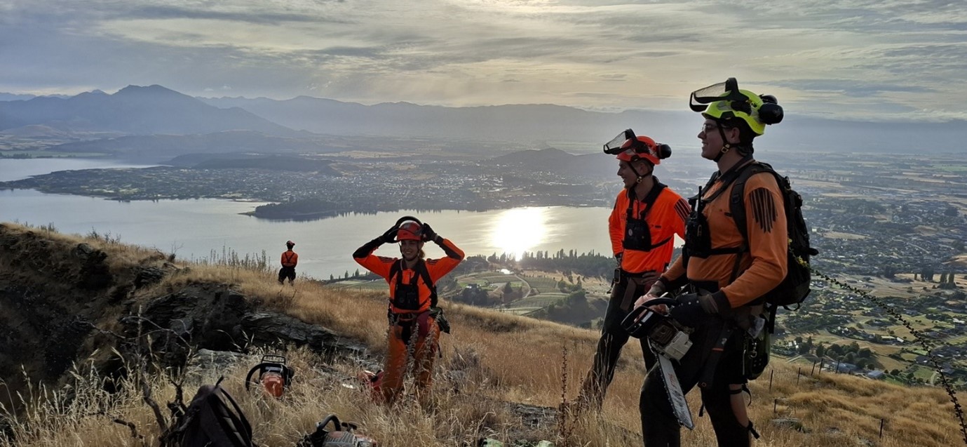 a group of people wearing work and safety gear standing on a hillside above a lake and a town
