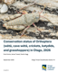 Cover Conservation Status Of Orthoptera In Otago 2026