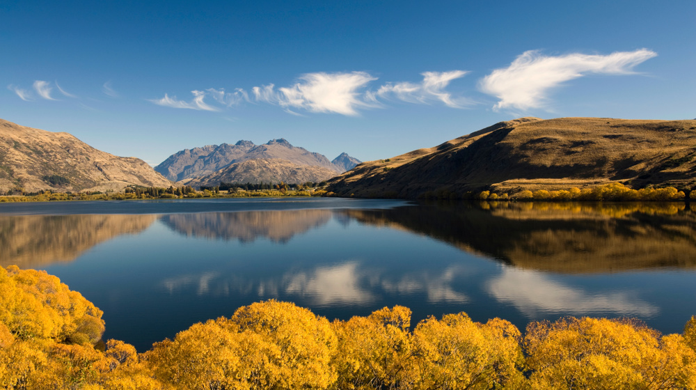 Lake Hayes Autumn Colors On Lake Hayes Located In The Wakatipu Basin In Central Otago Adobestock 659729899