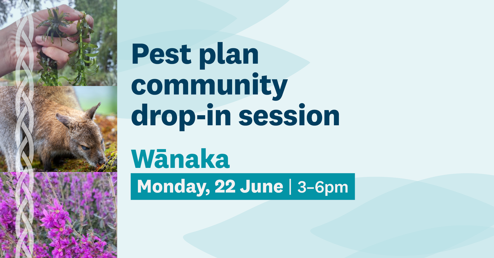 RPMP Wānaka Drop In Session Facebook Event Cover PROOF 260529 Tint