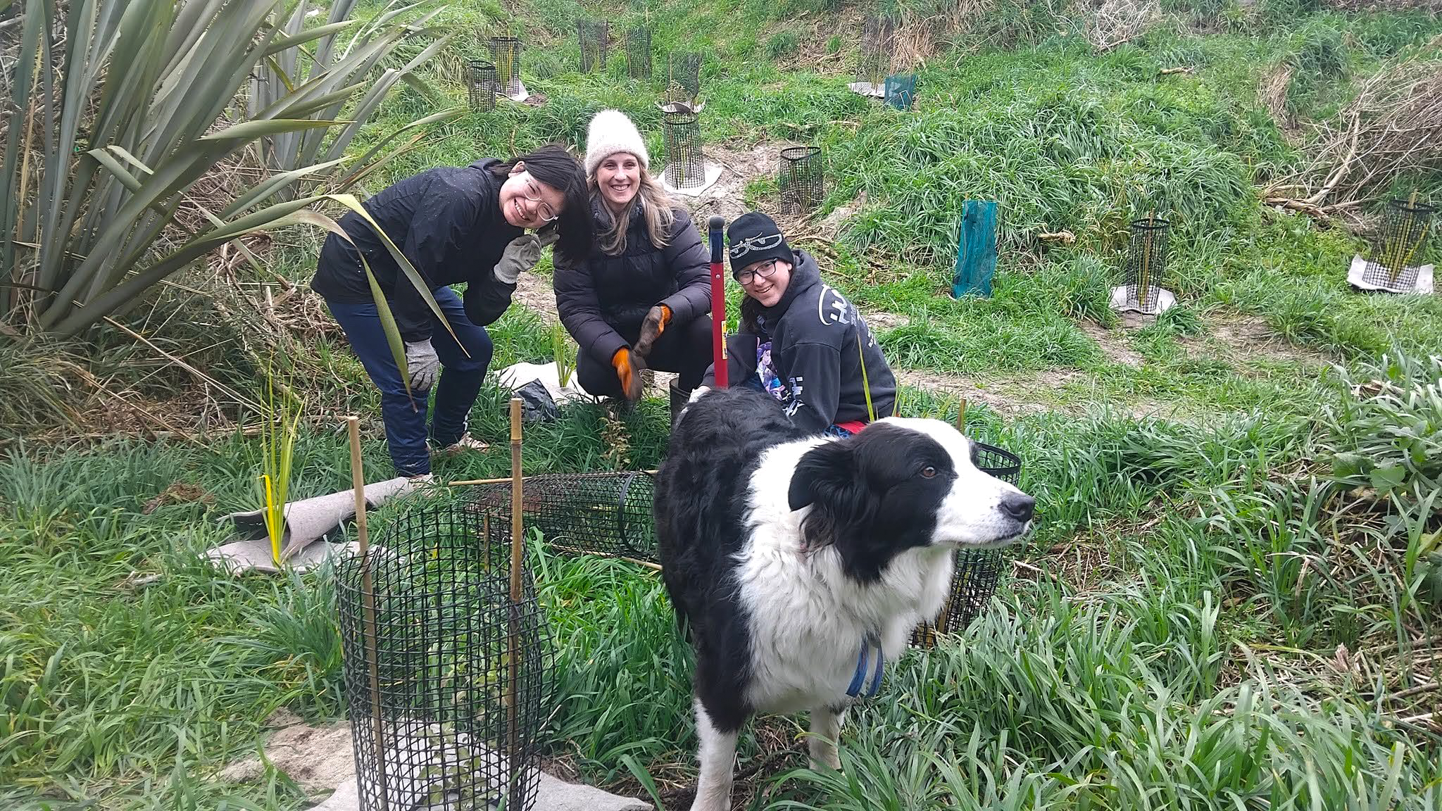three people smiling at the camera with a dog in a grassy area surrounded by plantings of small New Zealand native plants