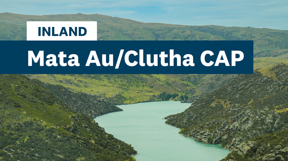 Inland Mata Au Clutha Tile 1920X1080 260424