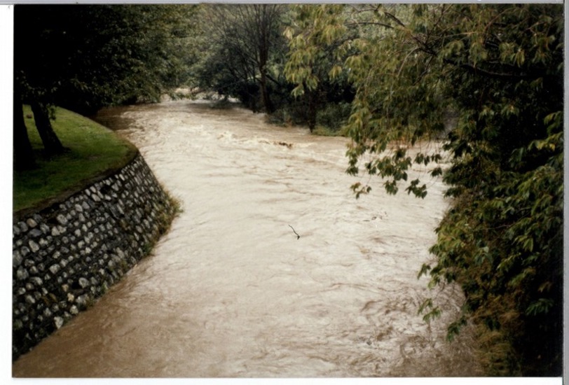 25 Feb 1986. Water Of Leith Lindsay Creek. 5.30Pm