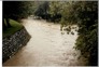 25 Feb 1986. Water Of Leith Lindsay Creek. 5.30Pm