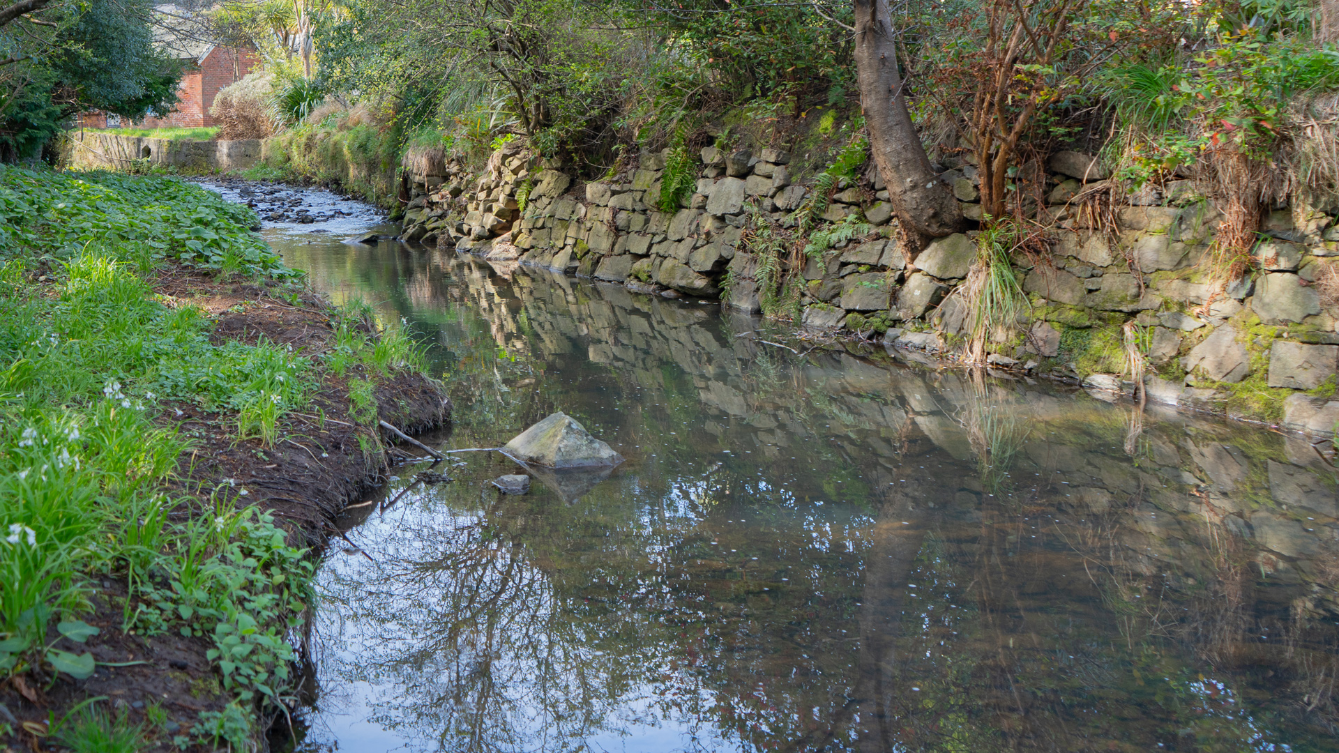 Lindsay Creek near Otago Community Hospice