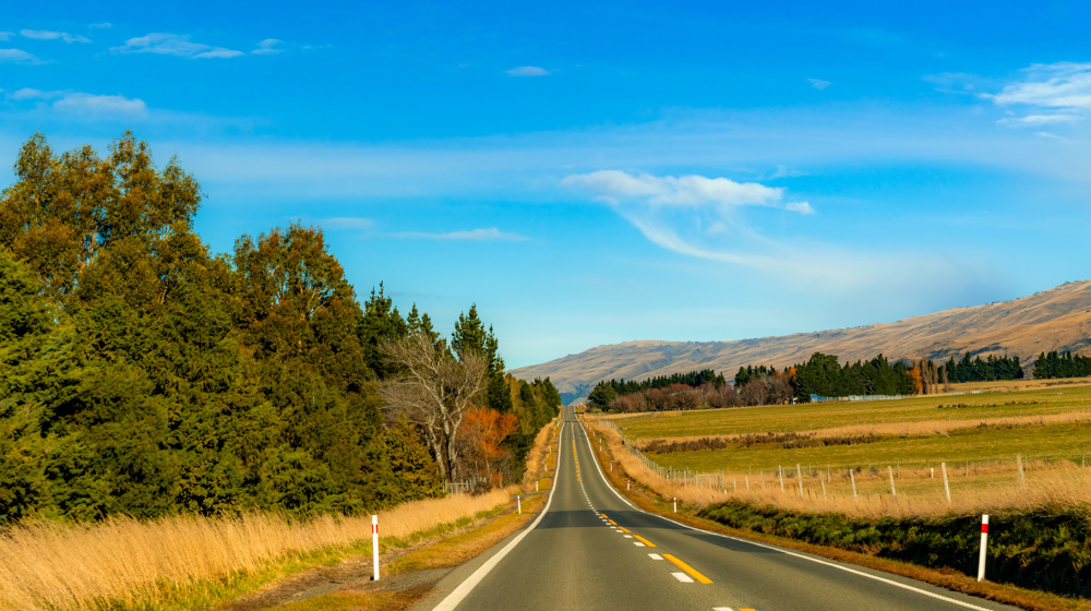 Road, Queenstown To Dunedin New Zealand Adobestock 279239061
