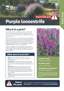 Cover Purple Loosestrife R Pest Fact Sheets A4 Apr 2026