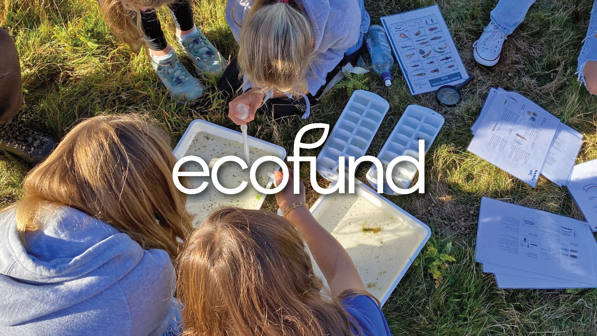 Ecofund 1920X1080 Web Tile Wakatipu Reforestation Trust Educate For Nature Programme Liger Academy Students Looking At What's In The Water