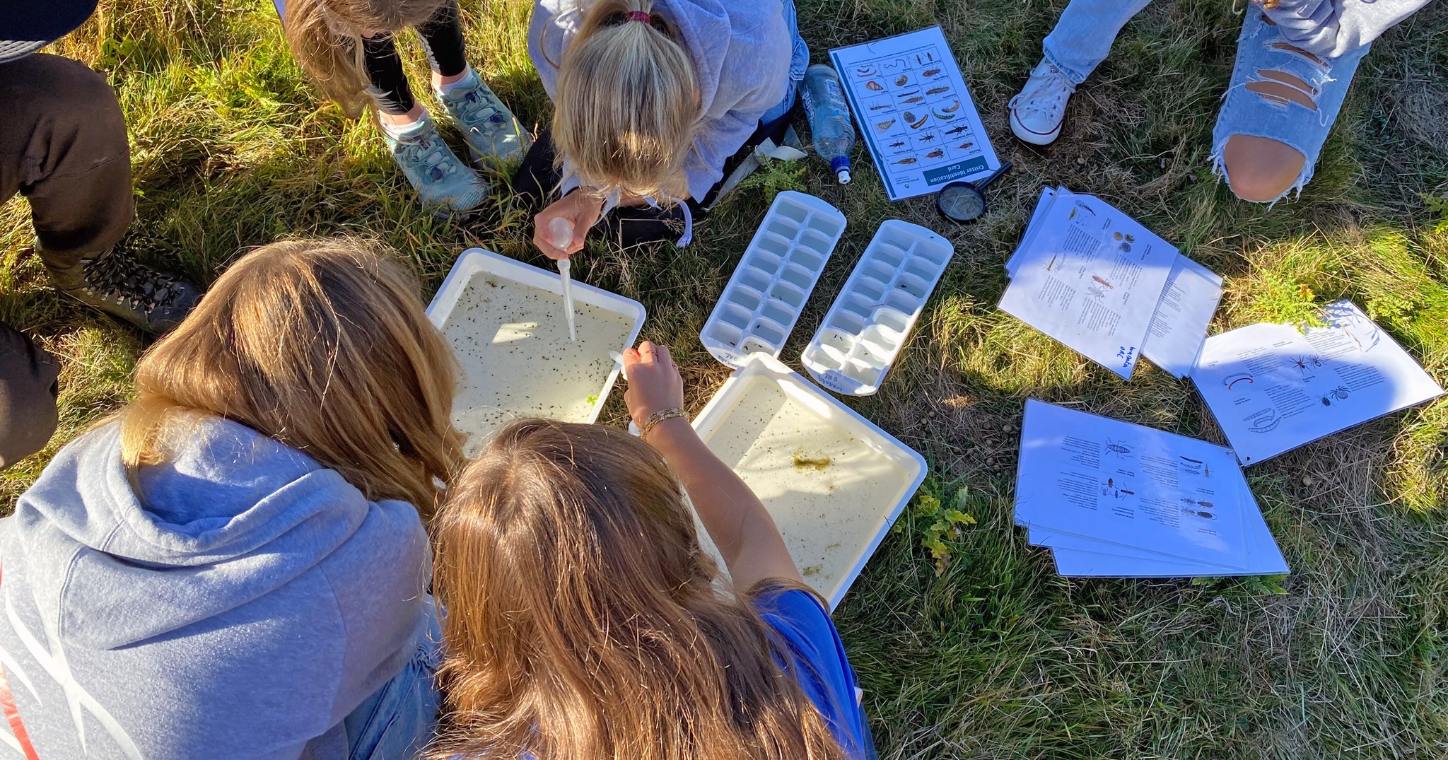 a group of children sitting on the grass looking at trays of water and using droppers to take samples of the water