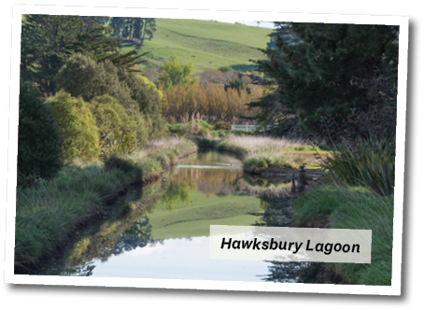 Hawksbury Lagoon 