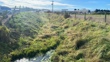 IS3 Upstream - Pre Spray 2025