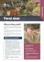 Cover Feral Deer Plant And Pest Fact Sheets A4 Mar 2026 Page 1