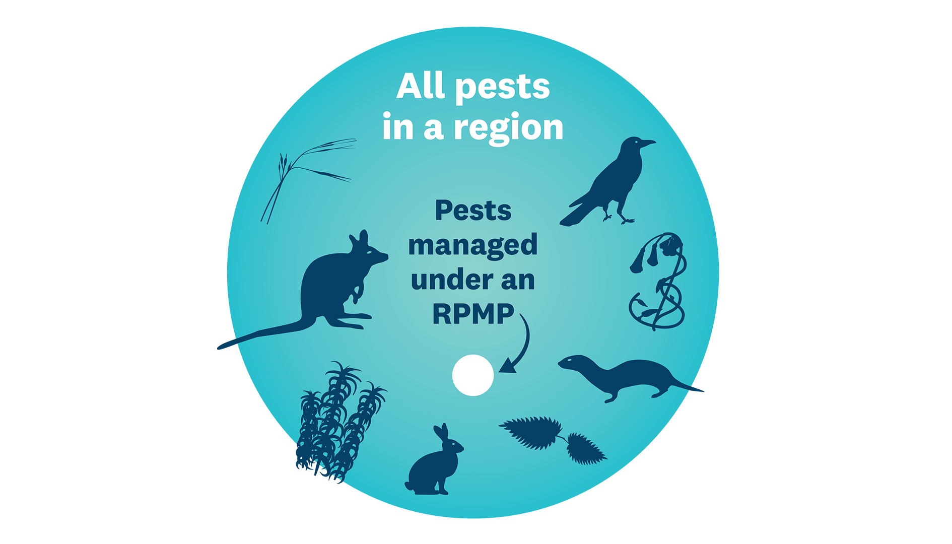 Pests Managed By Rpmp Graphic V2 X 1920X1080px