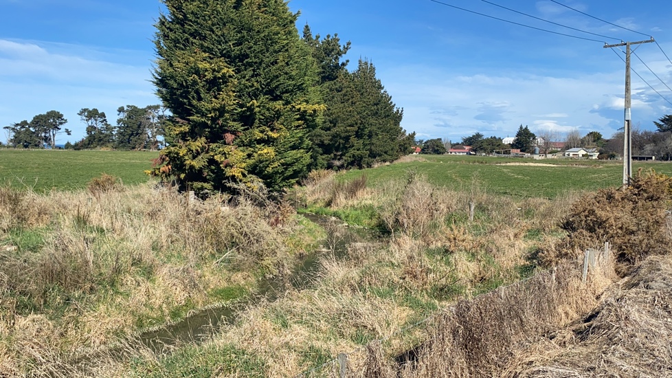 IS4 Downstream - Post Spray 2025