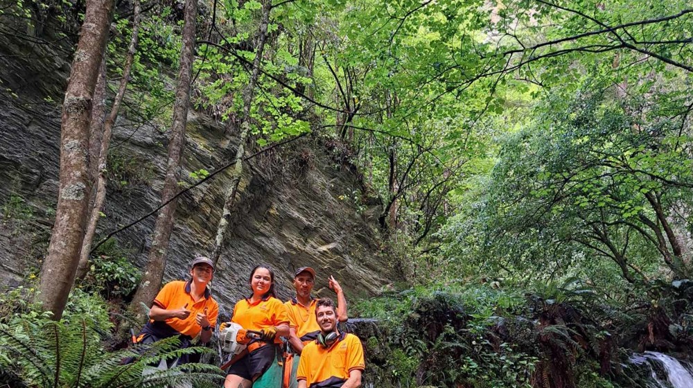 The Aukaha Field Team On The Job
