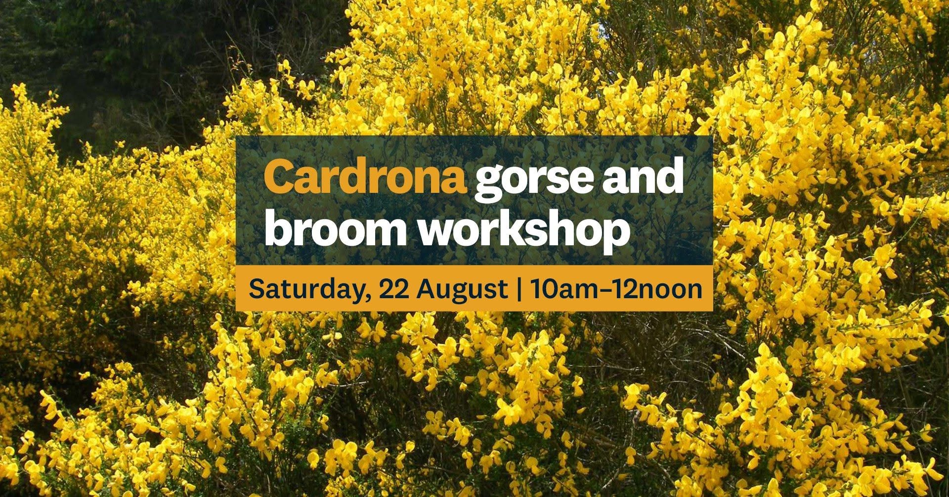 Cardrona gorse and broom workshop 2026 tile.jpg