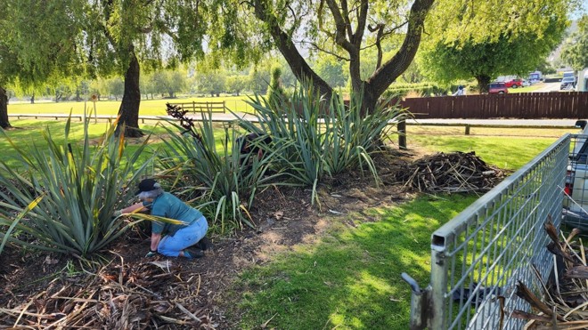 a person bending down working in a garden