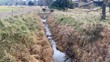 IS2 Upstream - Post Spray 2025