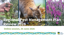Cover Regional Pest Management Plan Review Online Session (Presentation Notes)